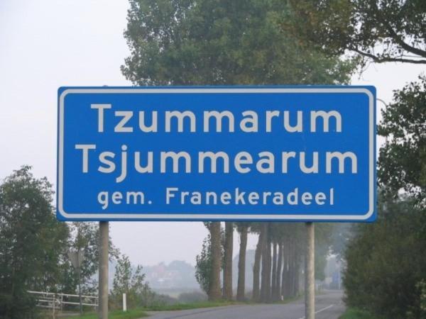 The Frisian Beach House Met Scandinavische Barrel Sauna Villa Tzummarum Esterno foto